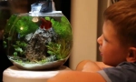 Акваріум для малюка