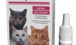 Гестренол для кішок: випадки призначення та рекомендації щодо використання