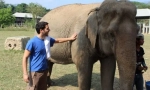 Як приборкати азіатський слон