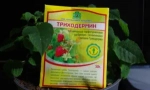 Підготовка triphodermin та інструкції для його використання