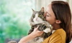 Причини алергії на кішок