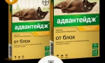 Застосування переваги препарату (advanda) для кішок