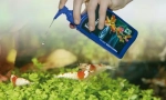 Інструменти для акваріума. Хімія догляду, вітаміни, кондиціонери