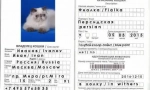 Ветеринарний паспорт для cat: дизайн документів нюанси