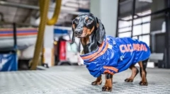 4 Відомих податків, які допомагають людям