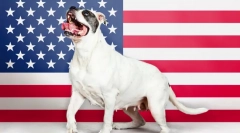 Американські породи собак