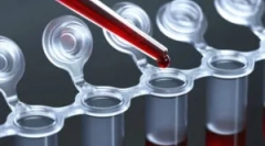 Аналіз крові для черв'яків у дітей та дорослих