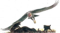 Аргентавис