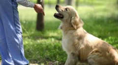 Основні команди