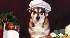 Блюдо все один за одним