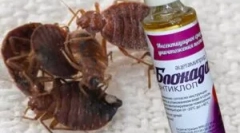 Блокада антиклоп і порядок застосування