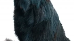 Захворювання підшлункової залози