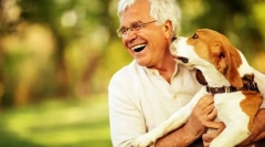 Собаки небезпечні для людини