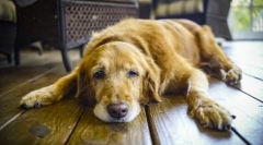 Хвороби шлунка