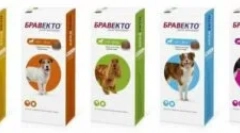 Бравкто з кліщів, бліх та інших паразитів