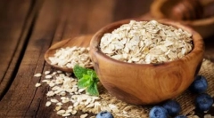 Швидкий баланс для собак