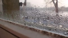 Побутові та народні засоби для знищення форми