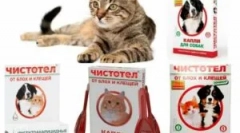 Відзначаються від бліх і кліщів для кішок і собак
