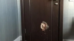 Які собаки роблять, коли власники не вдома: топ-10 дивних класів