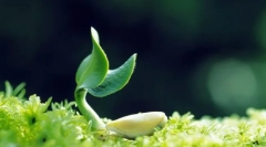 Що потрібно для підтримки життя?