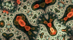 Які найпростіші?