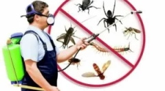 Що таке дискування, вид і порядок