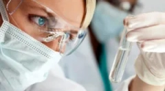 Що таке egggalist