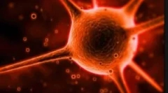 Що таке криптоспоридія і які методи його лікування?