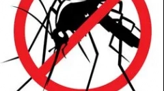 Що таке малярія