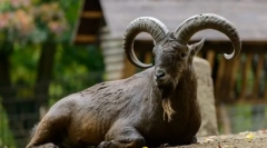 Дагестан тур