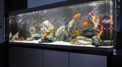 Оздоблення акваріума