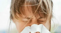 Дерматофаг перика або пиловий кліщ