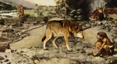 Дикі предки домашніх собак: вид на скелі, подібні до вовків