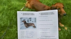 Документи на цуценя