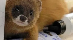 Головна harek