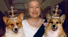 Подвійні прізвиська для собак, російських та іноземних