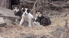 Порагію - не речення!