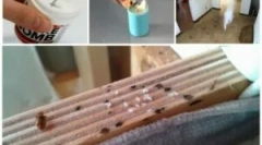 Димарі з клопів