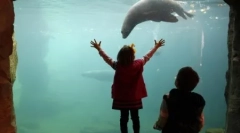 Фотографії нашої планети