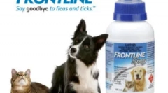Frontline для кішок: інструкції щодо використання