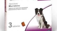 Frontline nexgard та інструкції для його використання