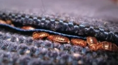 Де помилки зазвичай ховаються в квартирі?