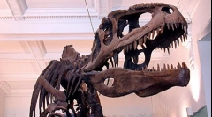 Гіганотозавр