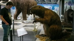 Гігантський бобер