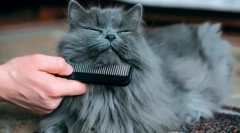 Гігієнічні процедури