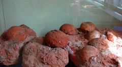 Гніздо динозавра