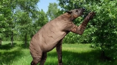 Халікотерія