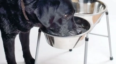 Хронічна хвороба нирок