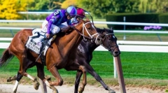 Ігри за участю коней