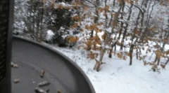 Цікаві факти про сайти